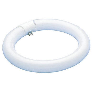 32 Watt Fluorescent T9 Circline 12 In. Light Bulb with 4 Pin (G10Q) Base, 6500K - FC12T9/D/RS