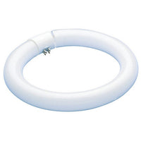 32 Watt Fluorescent T9 Circline 12 In. Light Bulb with 4 Pin (G10Q) Base, 6500K - FC12T9/D/RS