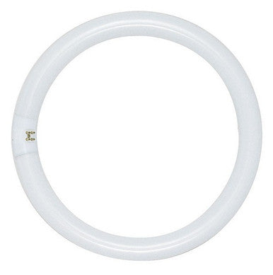 22 Watt Fluorescent T9 Circline 8 In. Light Bulb with 4 Pin (G10Q) Base, 3000K - FC8T9/WW/RS
