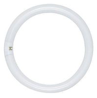 22 Watt Fluorescent T9 Circline 8 In. Light Bulb with 4 Pin (G10Q) Base, 3000K - FC8T9/WW/RS