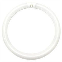 32 Watt Fluorescent T9 Circline 12 In. Light Bulb with 4 Pin (G10Q) Base, 4200K - FC12T9/CW/RS