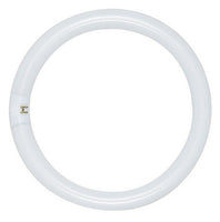 22 Watt Fluorescent T9 Circline 8 In. Light Bulb with 4 Pin (G10Q) Base, 4200K - FC8T9/CW/RS