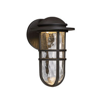 Steampunk 13in. LED Outdoor Wall Sconce Light 3000K in Bronze