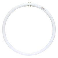 40 Watt Fluorescent T5 Circline 12 In. Light Bulb with 4 Pin (2GX13) Base, 4100K - FPC40/841