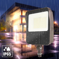 LED Landscape Floodlights 6603 Series  - Commercial Grade Outdoor Lighting - Multiple Mounting and Output Options