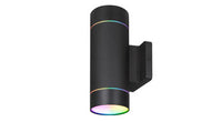 ASD LED Outdoor Wall Cylinder Round with 1 matte ring 2-light 30W 120V 2700-6500K RGBW Smart APP Control Black ETL