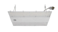 ASD LED Linear High Bay with Q-base 100/130/160W 120-277V 0-10V Dimmable 170Lm/W 3500/4000/5000K IK10 with 10ft cord with NEMA L7-15p White UL DLC Premium