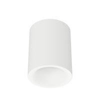Zoron 5CCT Round Trimless Ceiling Mount Narrow Beam Arc Trim White - C4RL-NCS-PWT