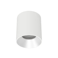 Zoron 5CCT Round Trimless Ceiling Mount Narrow Beam White/Haze - C4RL-NCS-WTHZ