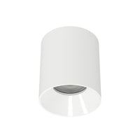 Zoron 5CCT Round Trimless Ceiling Mount Narrow Beam White/White - C4RL-NCS-WTWT
