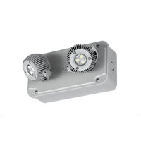 Grey, Double Head, High Power, NEMA 4X, 6200K, 16W, 1126 lumens