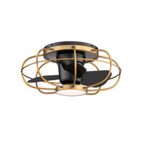 Aella in Aged Brass/Matte Black with Luminaire
