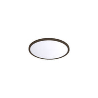 LED Functional Ceiling and Wall Luminaire - FM-07RN-930-BZ