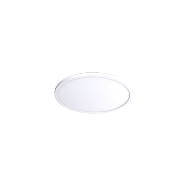 LED Functional Ceiling and Wall Luminaire - FM-07RN-930-WT