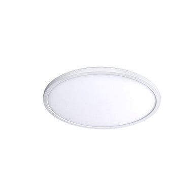 LED Functional Ceiling and Wall Luminaire - FM-11RN-930-WT