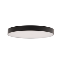 EDGELESS FLUSH MOUNT 8IN RND 5CCT BK