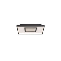 Pinpoint 15in. LED Flush Mount Light 2700K in Black
