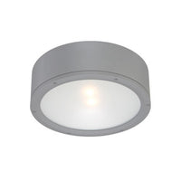 TUBE 12in. LED Outdoor Flush Mount Light 3000K in Graphite