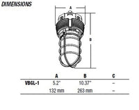 Hubbell Outdoor Lighting VBGL-1 11W Vaporite LED, Globe Refractor, Ceiling/ Pendant Mount, 120-277V 41K, 757 LM, Glass Lens, Wet Location, Gray