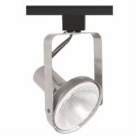 Trac-Master Front Lamping Gimbal PAR30, Natural