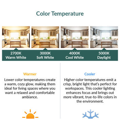 LED PAR20 Bulbs - Replacements For Indoor Flood Bulbs - E26 Base - Choose Your Color Temperature