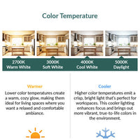 LED PAR20 Bulbs - Replacements For Indoor Flood Bulbs - E26 Base - Choose Your Color Temperature
