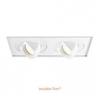 Tesla LED Multiple Two Light Flood 2700K Invisible Trim with Light Engine