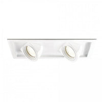 Tesla LED Multiple Two Light Flood 3000K Trim with Light Engine