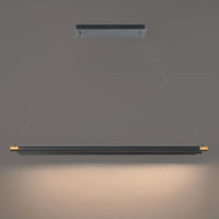 Pavilion 44in. LED Pendant Light 3000K in Black/Aged Brass