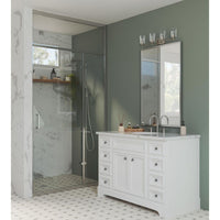 Adley Collection Four-Light Polished Nickel Clear Glass New Traditional Bath Vanity Light - Damp Location Listed