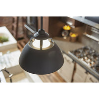 Carbon Collection One-Light Graphite Etched White Glass Mid-Century Modern Pendant Light - Dry Location Listed