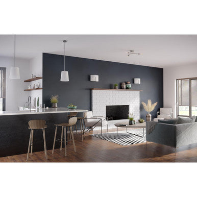 Clarion Collection One-Light Brushed Nickel Etched White Transitional Pendant - Dry Location Listed - Model P500429-009