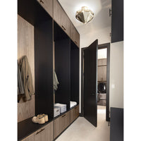 Progress Lighting Yerba Collection Silver Ridge Semi-Flush - Dry Location Listed