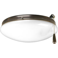 AirPro Collection Two-Light Ceiling Fan Light - Wet Location Listed