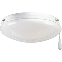 AirPro Collection Two-Light Ceiling Fan Light - Wet Location Listed - P2611-30WB