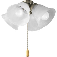AirPro Collection Four-Light Ceiling Fan Light - Dry Location Listed