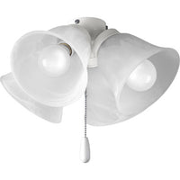 AirPro Collection Four-Light Ceiling Fan Light - Dry Location Listed