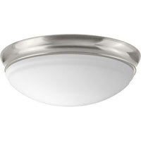 One-Light 11
