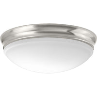 One-Light 13-1/2