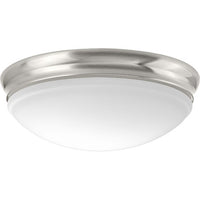 One-Light 13-1/2