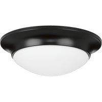 One-Light 11-1/2