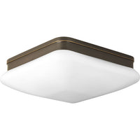 Appeal Collection Two-Light 11