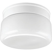 Two-Light White Glass 8-3/4