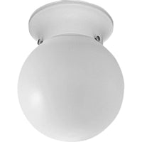 One-Light Glass Globe 6