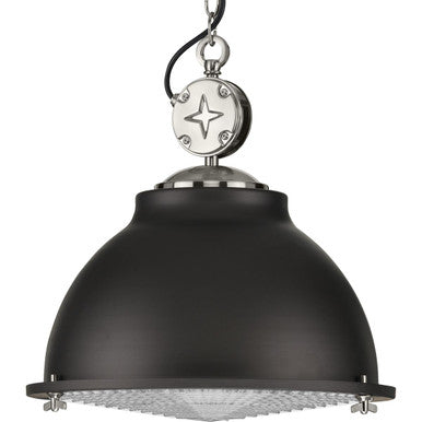 Medal Collection One-Light Graphite Clear Patterned Glass Coastal Pendant Light - Dry Location Listed