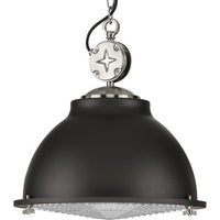Medal Collection One-Light Graphite Clear Patterned Glass Coastal Pendant Light - Dry Location Listed