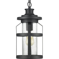 Haslett Collection One-Light Hanging Lantern - Damp Location Listed - Model P550031-103