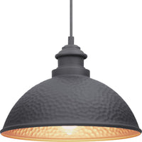 Englewood Collection One-Light Hanging Lantern - Damp Location Listed - Model P550032-103