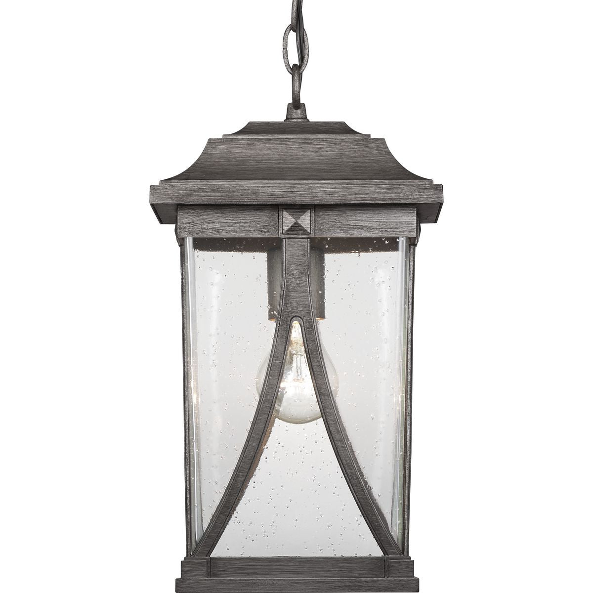 Progress Lighting Outdoor Light - Abbott Collection One-Light Hanging Lantern - Model P550040-103