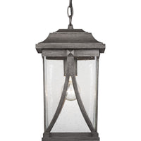 Abbott Collection One-Light Hanging Lantern - Damp Location Listed - Model P550040-103